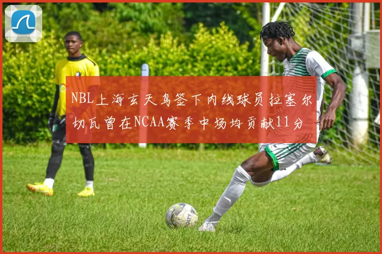 NBL上海玄天鸟签下内线球员拉塞尔切瓦曾在NCAA赛季中场均贡献11分8篮板